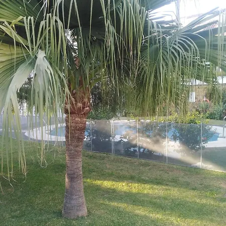 2 Bed Gf Near Puerto Banus Marbella